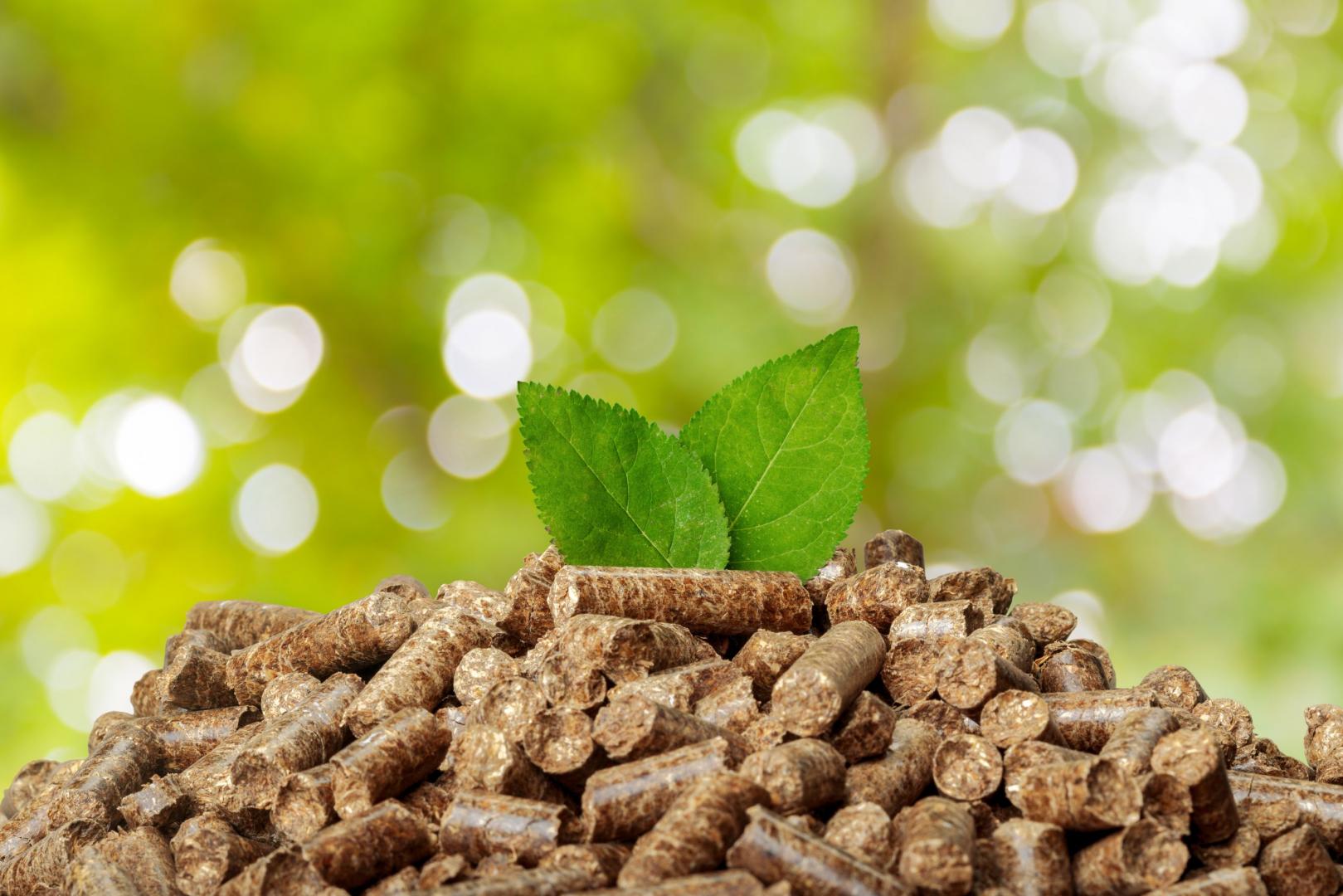 Vente de granulés de bois Sainte-Sabine-Born