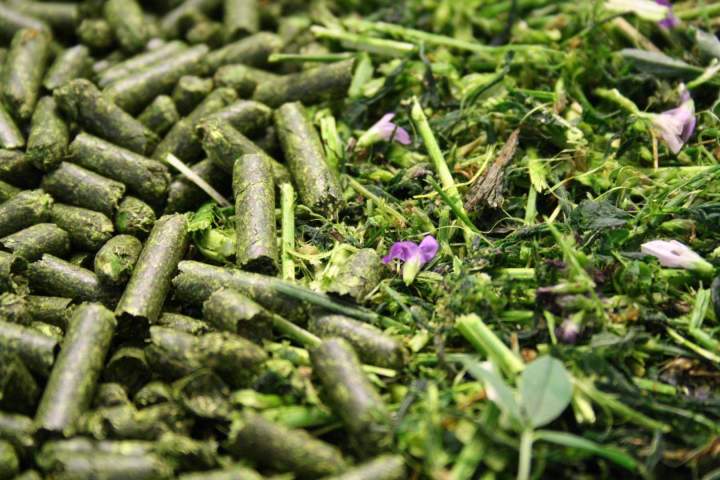 Producteur de granulés bois Dordogne