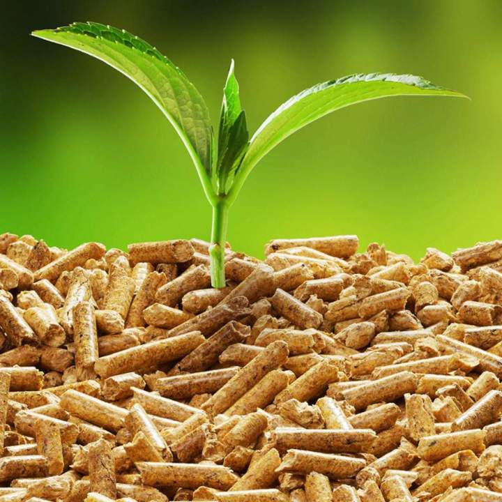 Fabricant local de pellets, Landes