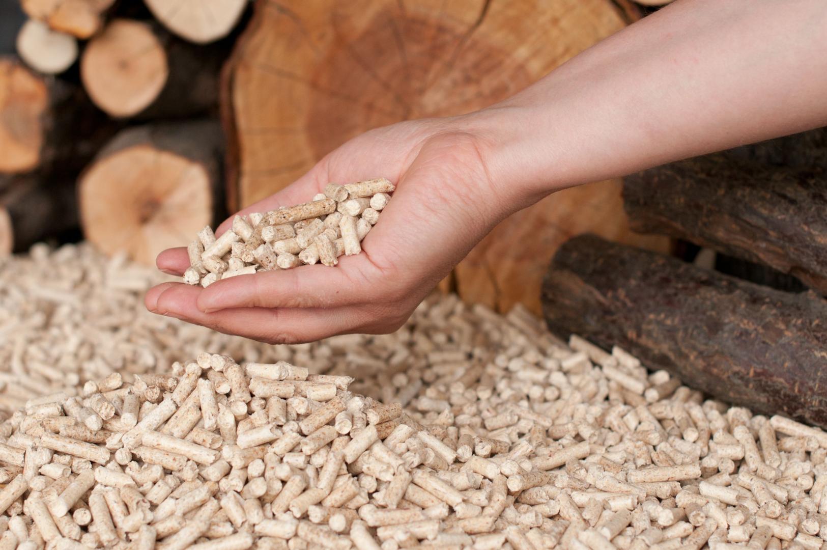 Vente de pellets Sainte-Sabine-Born